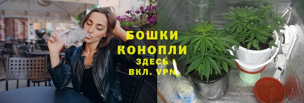марки nbome Каменка