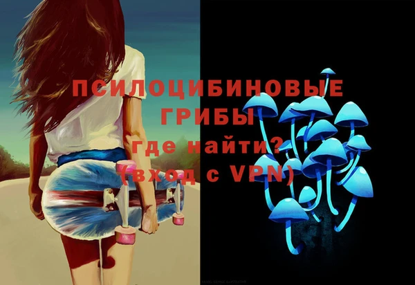 винт Каменск-Шахтинский