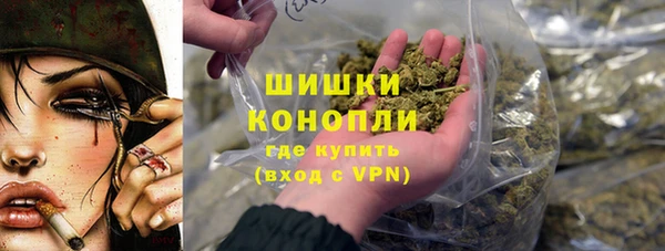 крисы Бикин