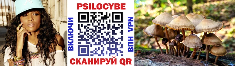 Галлюциногенные грибы Magic Shrooms  Кирсанов 